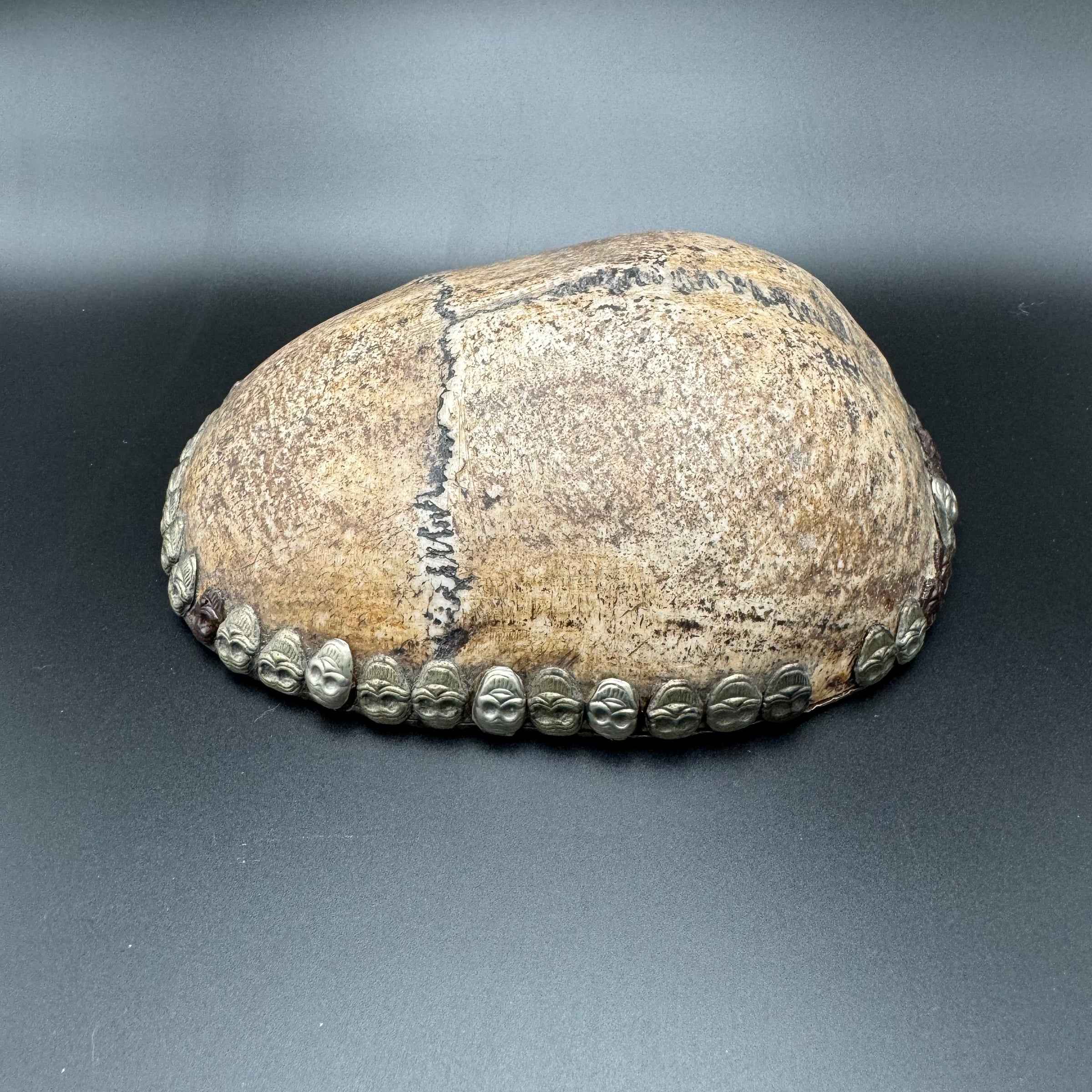 Human Skull Cap Uncarved Tibetan Kapala Cup | The Learned Lemur